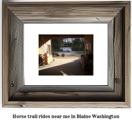 horse trail rides near me in Blaine, Washington